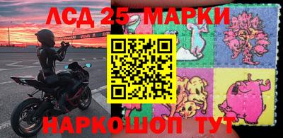 гидра Берёзовский