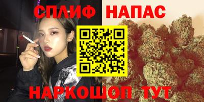 гидра Берёзовский