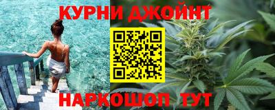 гидра Берёзовский